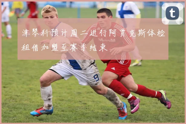 津琴科预计周二进行阿贾克斯体检租借加盟至赛季结束