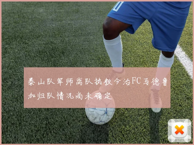 泰山队军师离队执教今治FC马德鲁加归队情况尚未确定